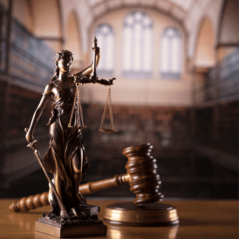 Legal professional at work